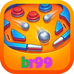 br99